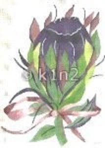 DEMN6029-Artichoke by Deux Amis