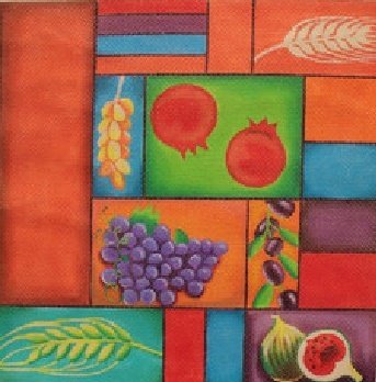 SEVEN SPECIES CHALLAH COVER STITCH GUIDE RISHLB111sg