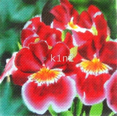 HPF55-Red Flowers by HP
