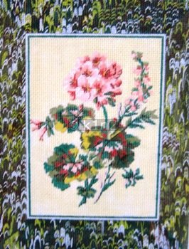 KCN161-Geraniums Frame  by Kelly Clark